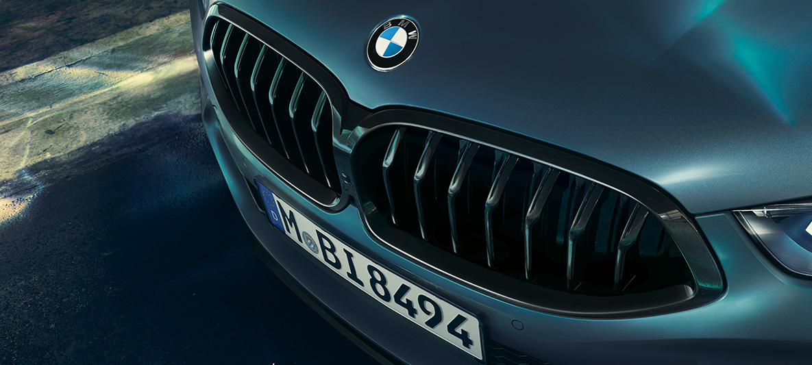 BMW M850i Coupé First Edition, naseaux BMW Vue en gros plan des naseaux BMW de la BMW M850i Coupé First Edition