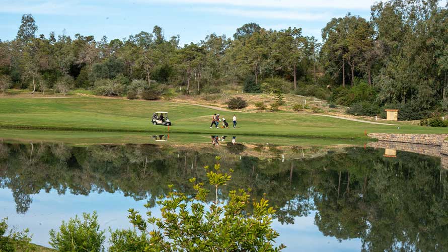 BMW Golf Cup